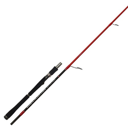 Tenryu injection mh - injection, sp