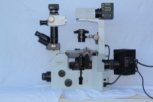 Olympus ix70 inverted - olympus,