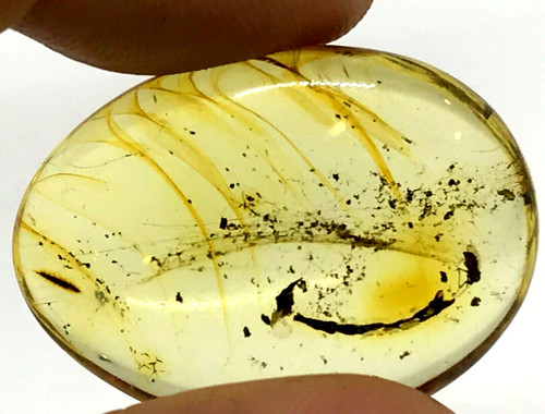 Pièce ambre insecte et - d'ambre,