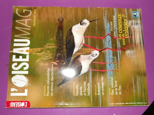 Revue oiseau mag n 91 - l'oiseau,