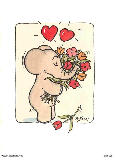 Carte postale animaux - carte,