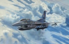 REVELL - Maquette avec peinture à assembler - Lockheed Martin F-16D Tigermeet...