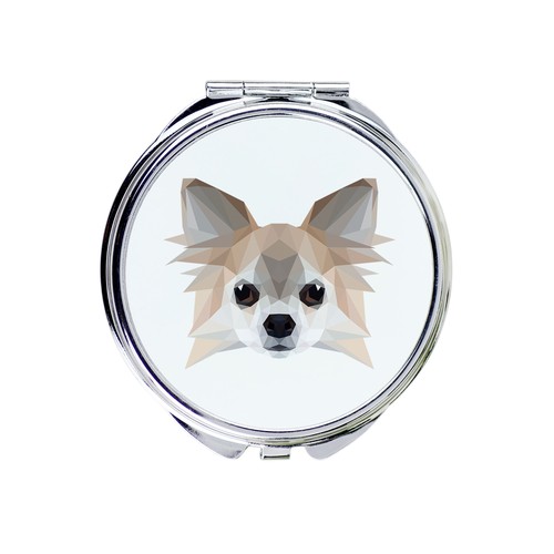 Chihuahua poil long - poil,