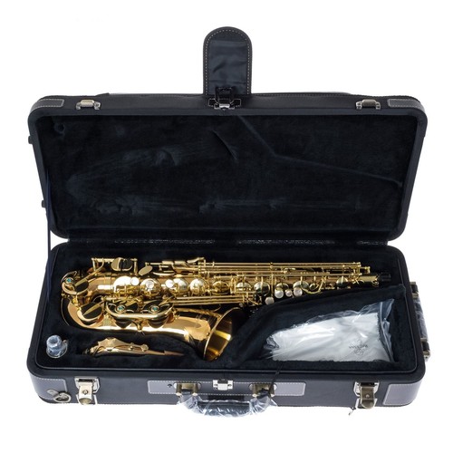 New yanagisawa alto - new, saxophone