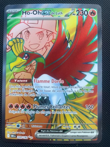 Carte pokemon 209 - carte, ex