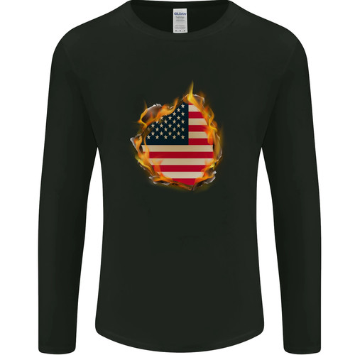 The stars rayures drapeau - the,