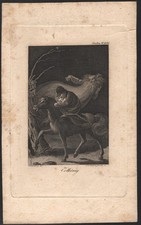 1850 Gravure Eau-forte Le Roi des Aulnes Goethe Arthur von Ramberg Romantisme