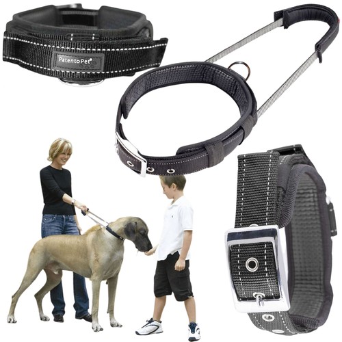 Collier dressage pour chien - collier,