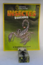 Résine inclusion insectes
