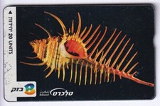 ASIE  TELECARTE / PHONECARD .. ISRAEL 20U L&G 210A COQUILLAGE SHELL