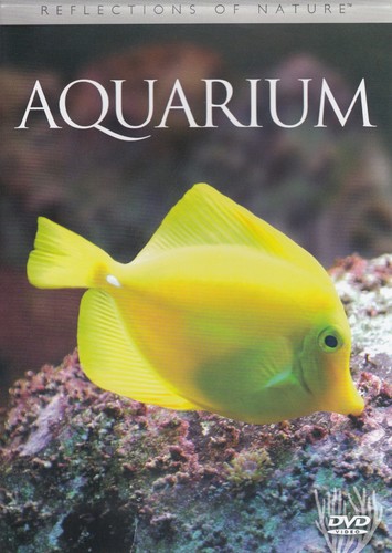 Aquarium - --,
