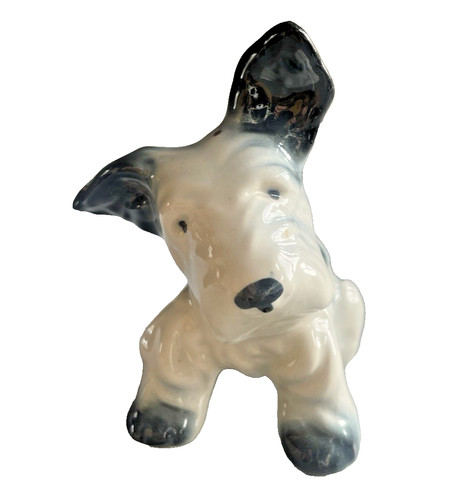 Sujet chien fox - chien, terrier