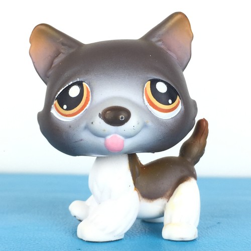 Authentic littlest pet - authentic,