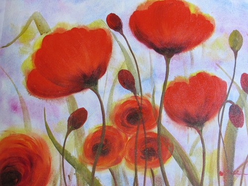Rouge coquelicots fleurs - coquelicots,