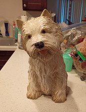 West Highland White Terrier