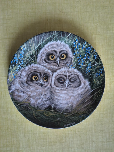 Assiette the baby owls - ,