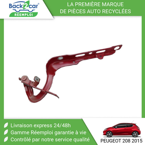 Compas gauche capot - 🏆,