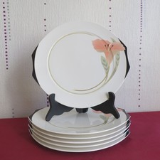 6 grandes assiettes plate en