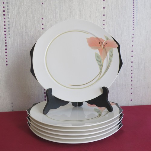 Grandes assiettes plate en - assiettes,