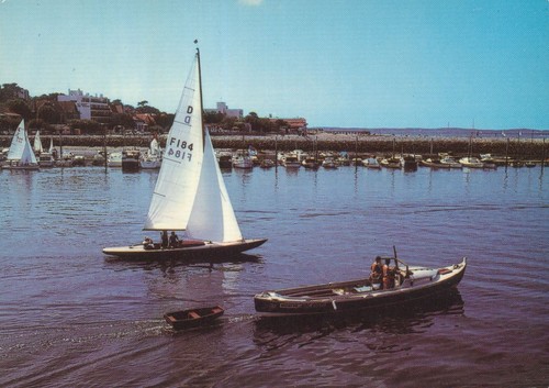 Arcachon pinasse et voilier - arcachon,