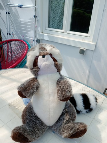 Peluche vintage raton laveur - raton,