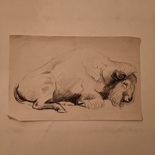 Dessin Ancien Animalier Fond