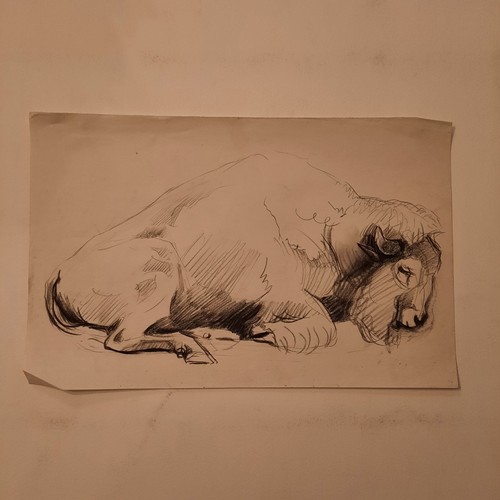 Dessin ancien animalier fond - ancien,