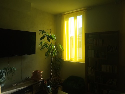 Voilage jaune passe tringle - voilage, à