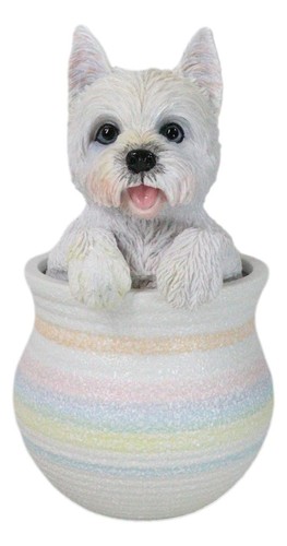 West highland white terrier - west,