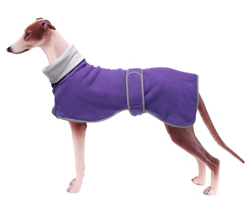 Manteau chien hiver - manteau, hiver,