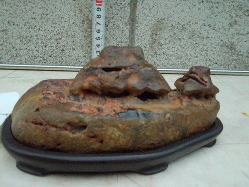 Suiseki bonseki bonsai - bonseki,