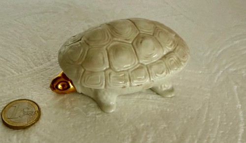 Vide poche boite - poche/boite/, tortue/