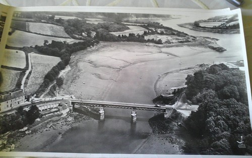 Photo lapie aerienne - n°3, x