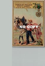 Chromo Chocolate Foal - Medal