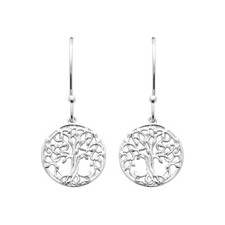 Boucles d'Oreilles en Argent