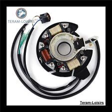 Stator Alternateur pour Yamaha E40X M(W/T) HS / L de 1999 2000 2001 à 2009