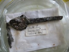 clavette d un char romain du