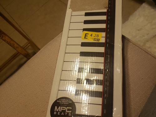 Akai professional lpk25 mk2 - professional,