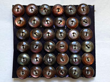 Nacre véritable brune 7,5 mm