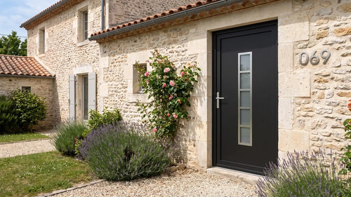Porte entrée pvc - porte,