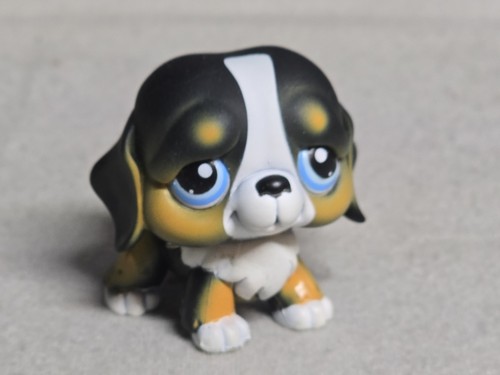 Littlest pet shop 145 - littlest, shop~#145~saint