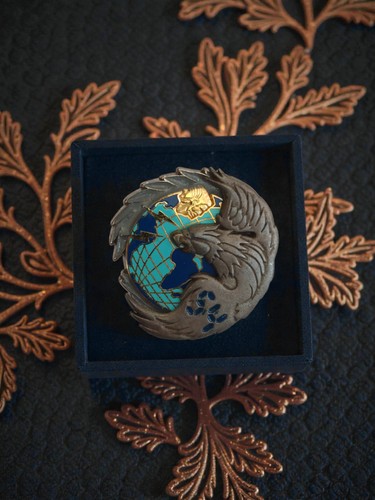 Vintage insigne militaire