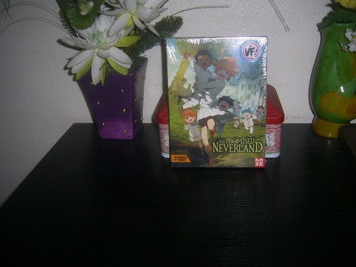 The promised neverland saison - the,