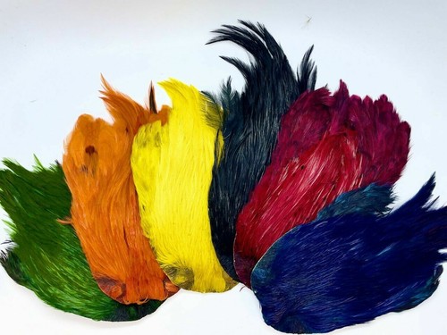 Plume cou coq teinte - cou, de