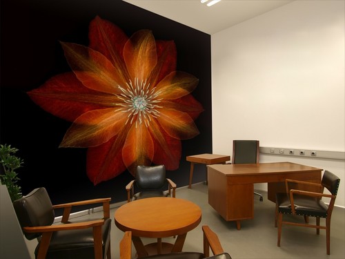 Papier peint orange - 3d,