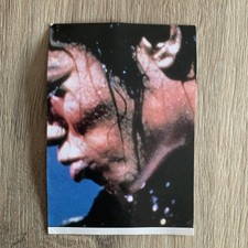 IMAGE PANINI AUTOCOLLANT