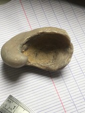 🔵🟠🦋🦋  fossile de