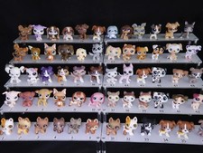 Lps différents chiens les - lps,