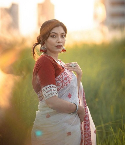 Blouse bollywood saree - blouse,