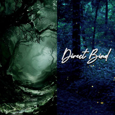 Ancien bois de Banshee hanté